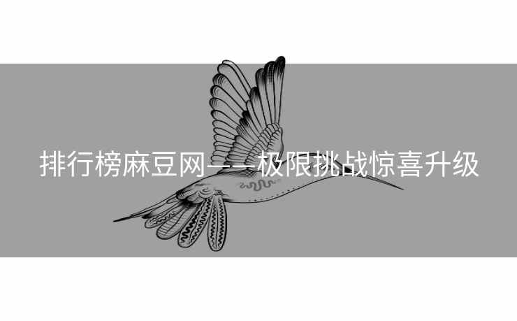 排行榜麻豆网——极限挑战惊喜升级