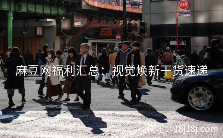 麻豆网福利汇总：视觉焕新干货速递
