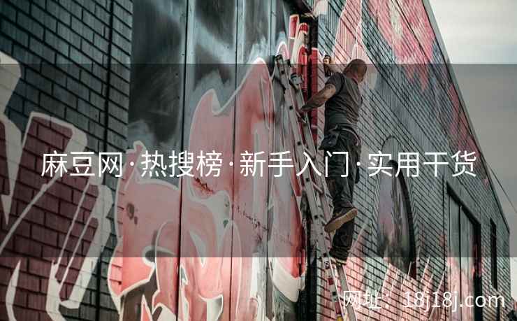 麻豆网·热搜榜·新手入门·实用干货