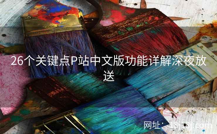 26个关键点P站中文版功能详解深夜放送
