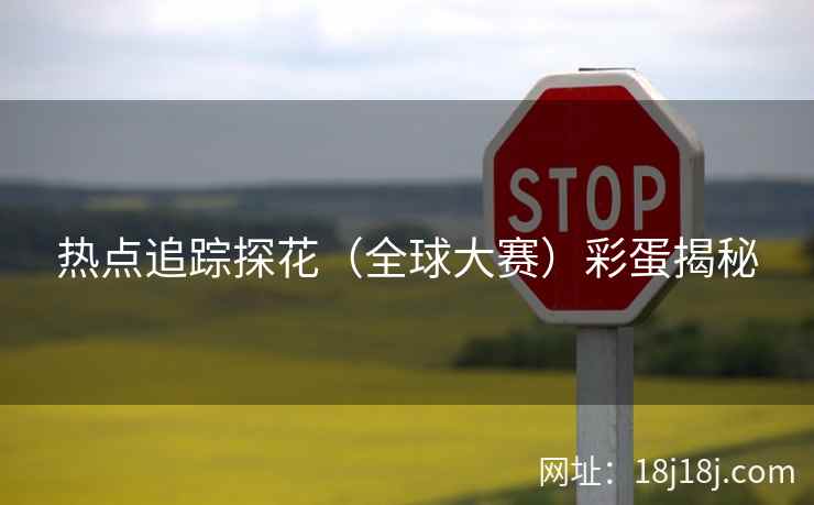热点追踪探花（全球大赛）彩蛋揭秘