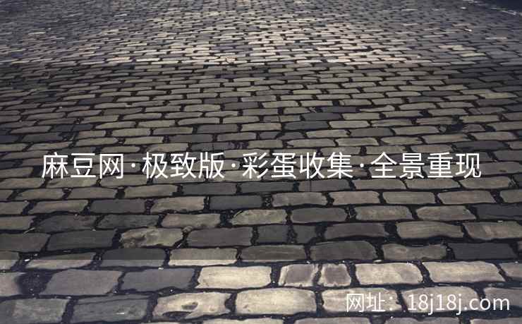 麻豆网·极致版·彩蛋收集·全景重现