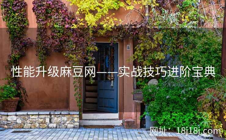 性能升级麻豆网——实战技巧进阶宝典