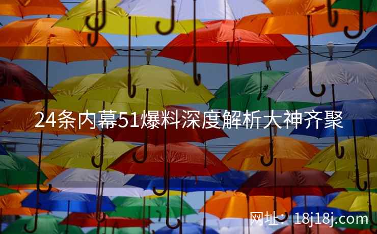 24条内幕51爆料深度解析大神齐聚