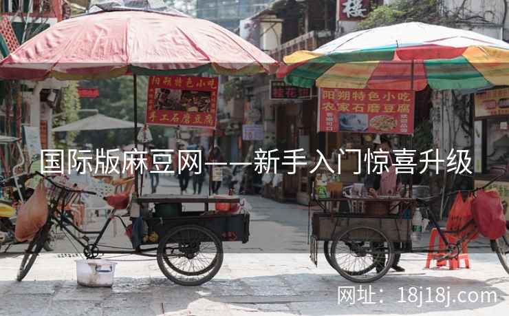 国际版麻豆网——新手入门惊喜升级