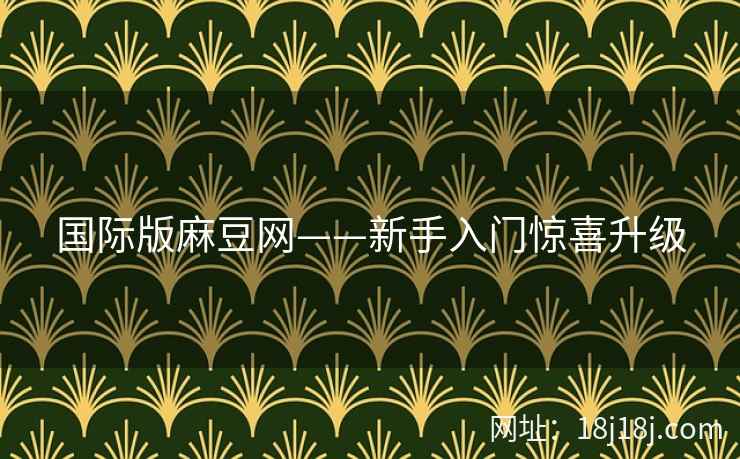 国际版麻豆网——新手入门惊喜升级