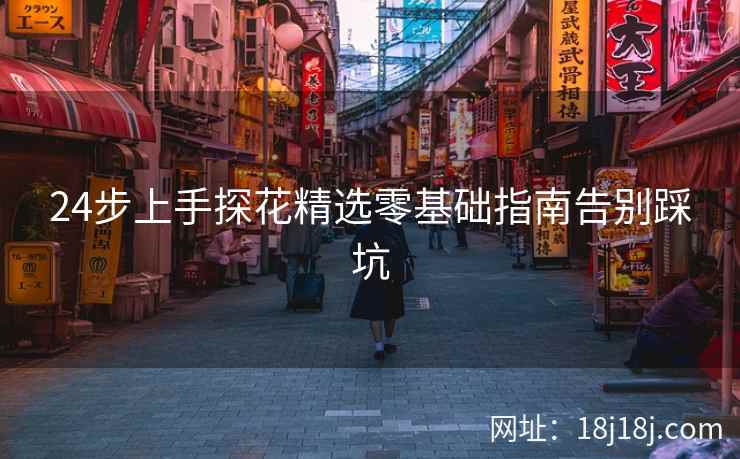 24步上手探花精选零基础指南告别踩坑
