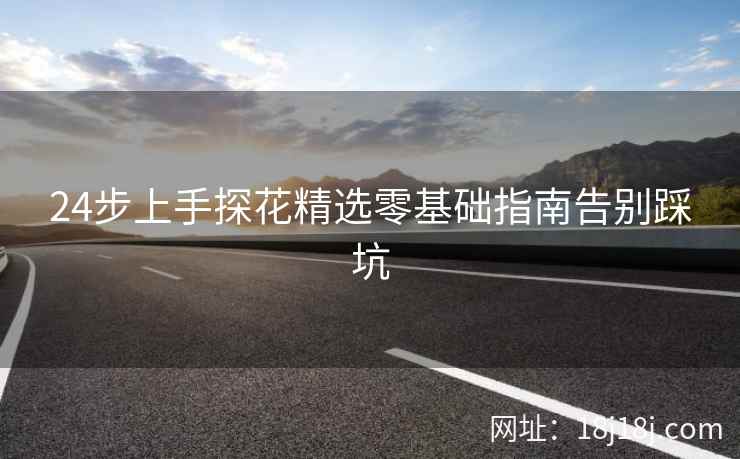 24步上手探花精选零基础指南告别踩坑