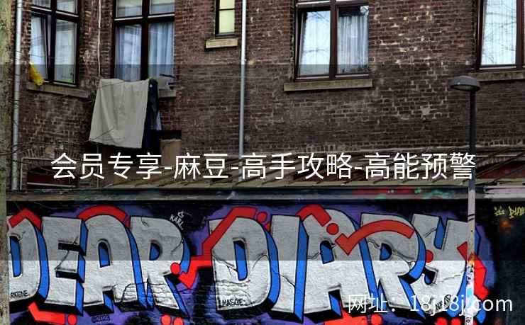 会员专享-麻豆-高手攻略-高能预警