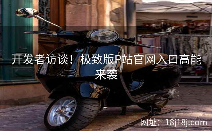 开发者访谈！极致版P站官网入口高能来袭